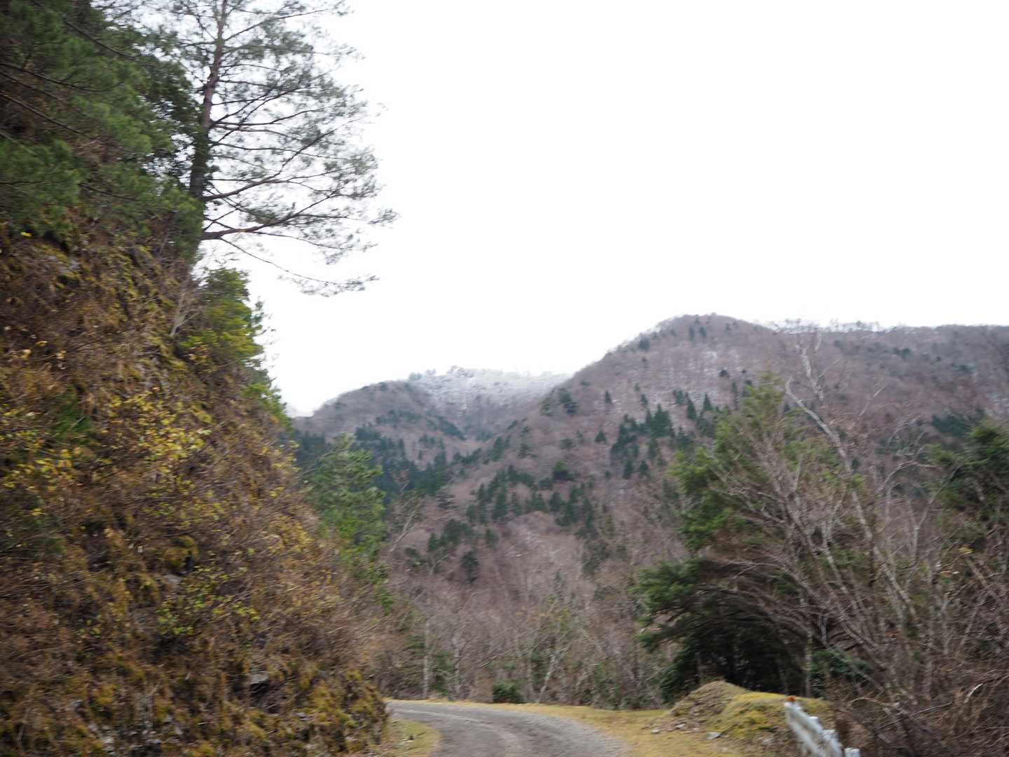 高気圧に覆われた穏やかな一日を
どこで霧氷を楽しもうかと選んだのが雲早山でした。
ここの素敵な霧氷を観て見たくて(≧▽≦)
登山口で霧氷を確認できたため、テンションはあがりますね～🎵
