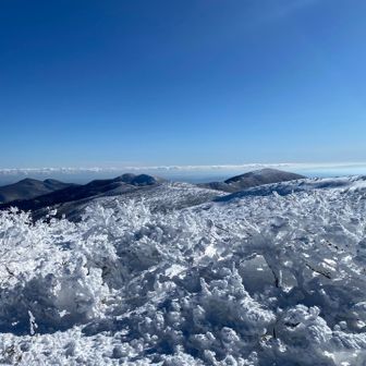 舟形ブルー🩵最高です😊