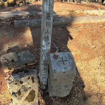 鶏冠山登頂しました。山梨百名山の標識を見つけることができなかったですが、もう一つのピークの方にあったようです😓