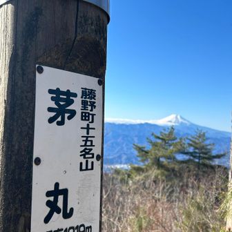ここから展望よい👍
今日、唯一同じコースを歩かれている方に再び会い少し立ち話、「俺は巻道、生藤山よく登ってきたねー」って褒められた？
でもこの先一度も会えなかった