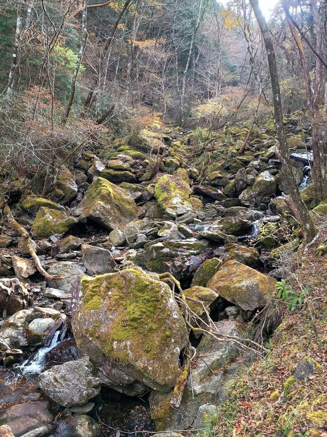 白髪山登山口-白髪山 往復コースの写真
