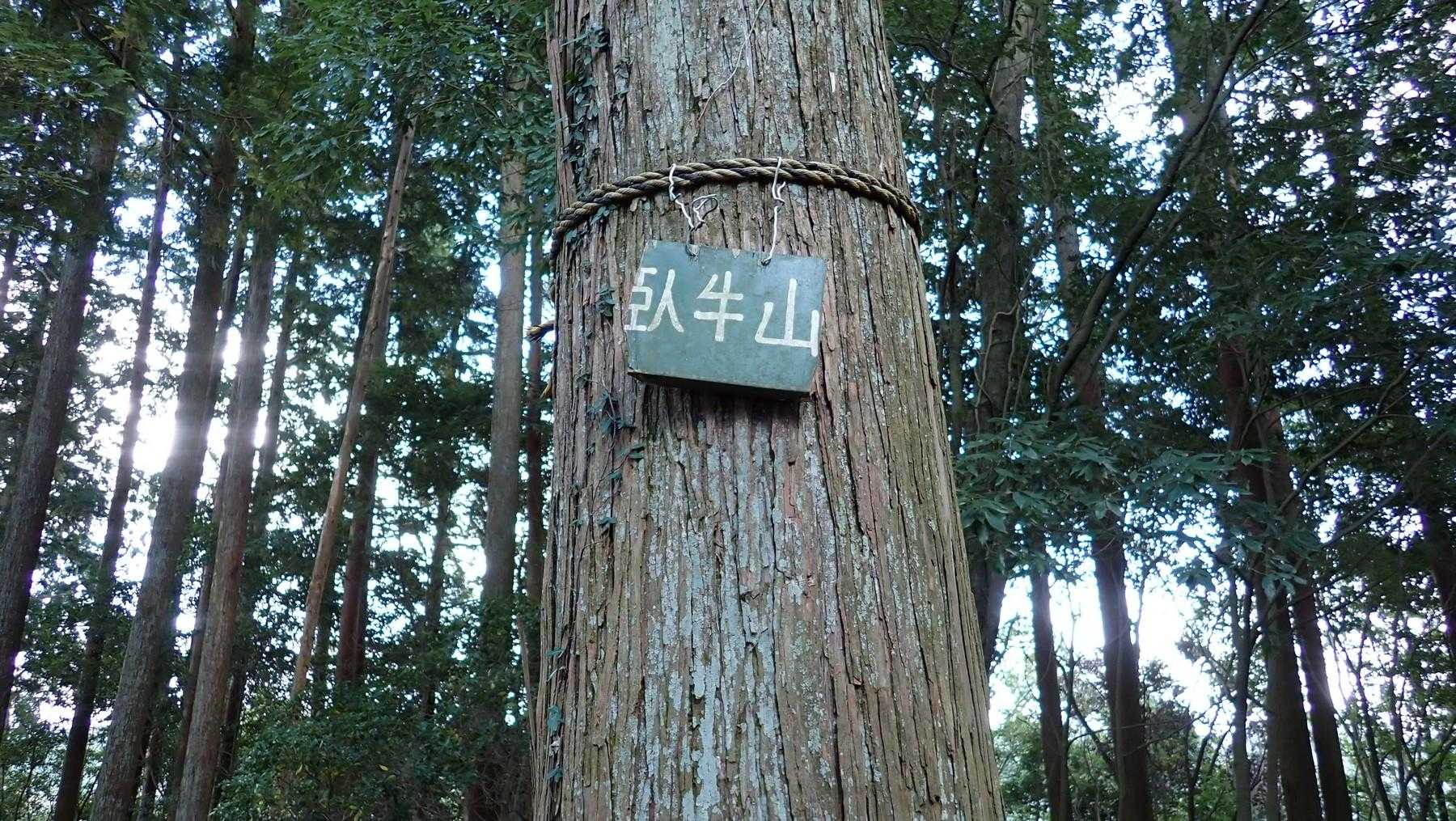 ここは山頂標識があった。