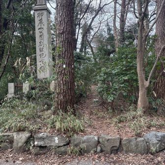 この奥が山頂でした😅