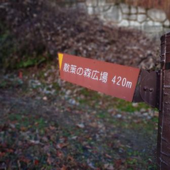 ルート多数あり