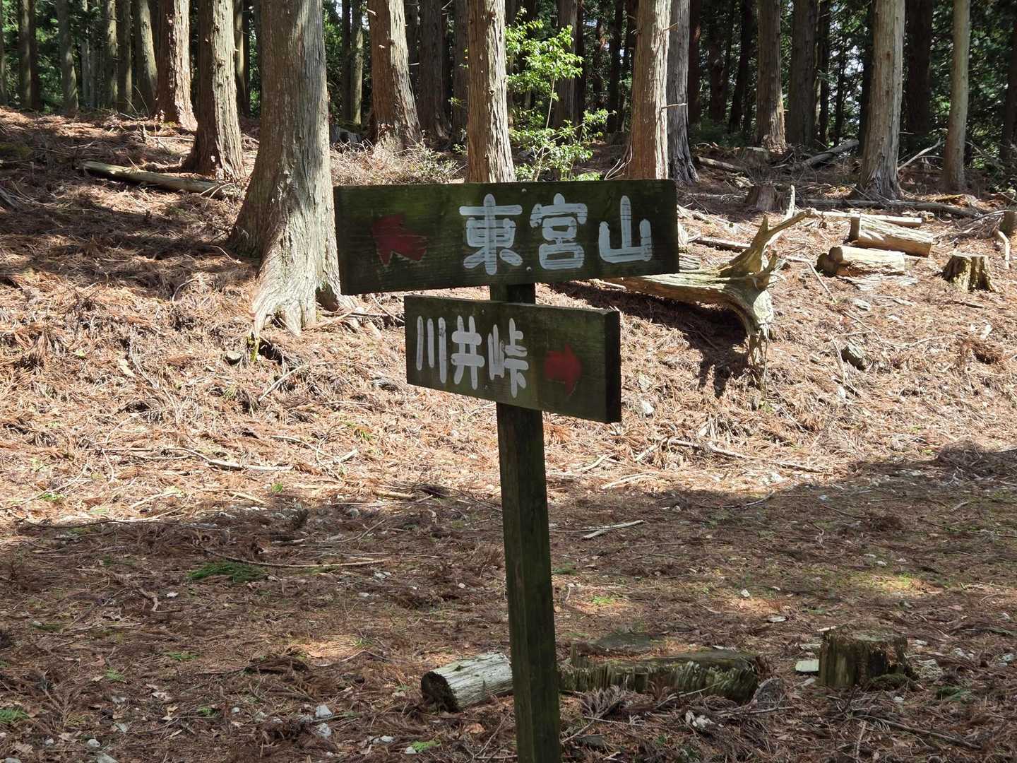 東宮山の方に行きます。