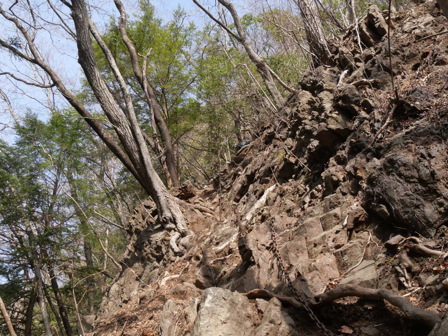つつじ新道登山口-四阿屋山-四阿屋山登山口 周回コースの写真