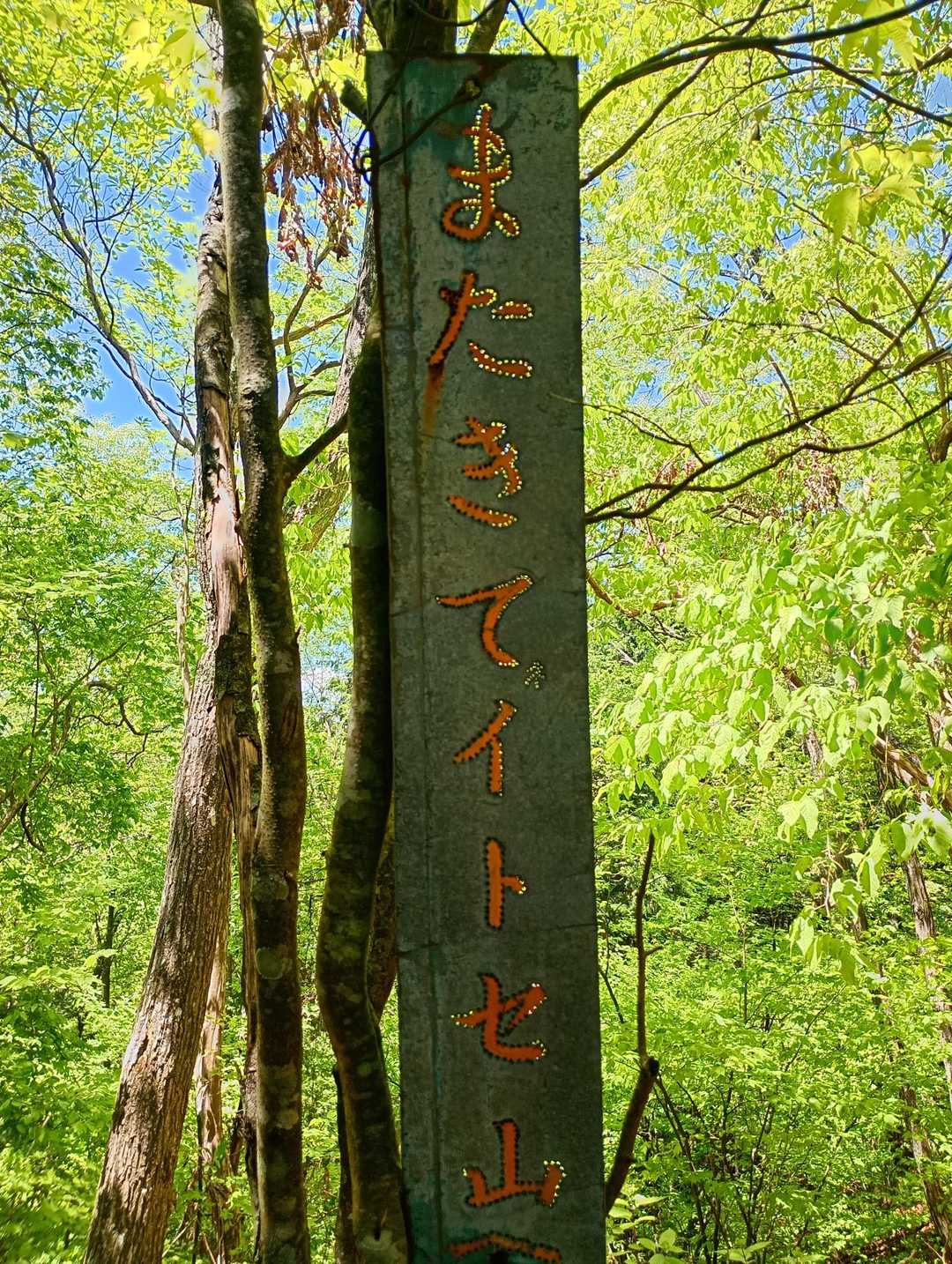 隙間から太陽☀