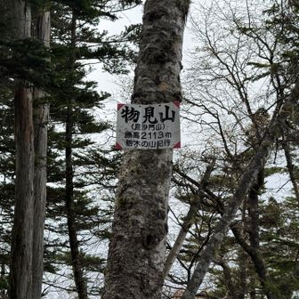 物見山経由で下山しますが、半端ない急降(急登)です。雨天ないし雨後はお勧めしません。