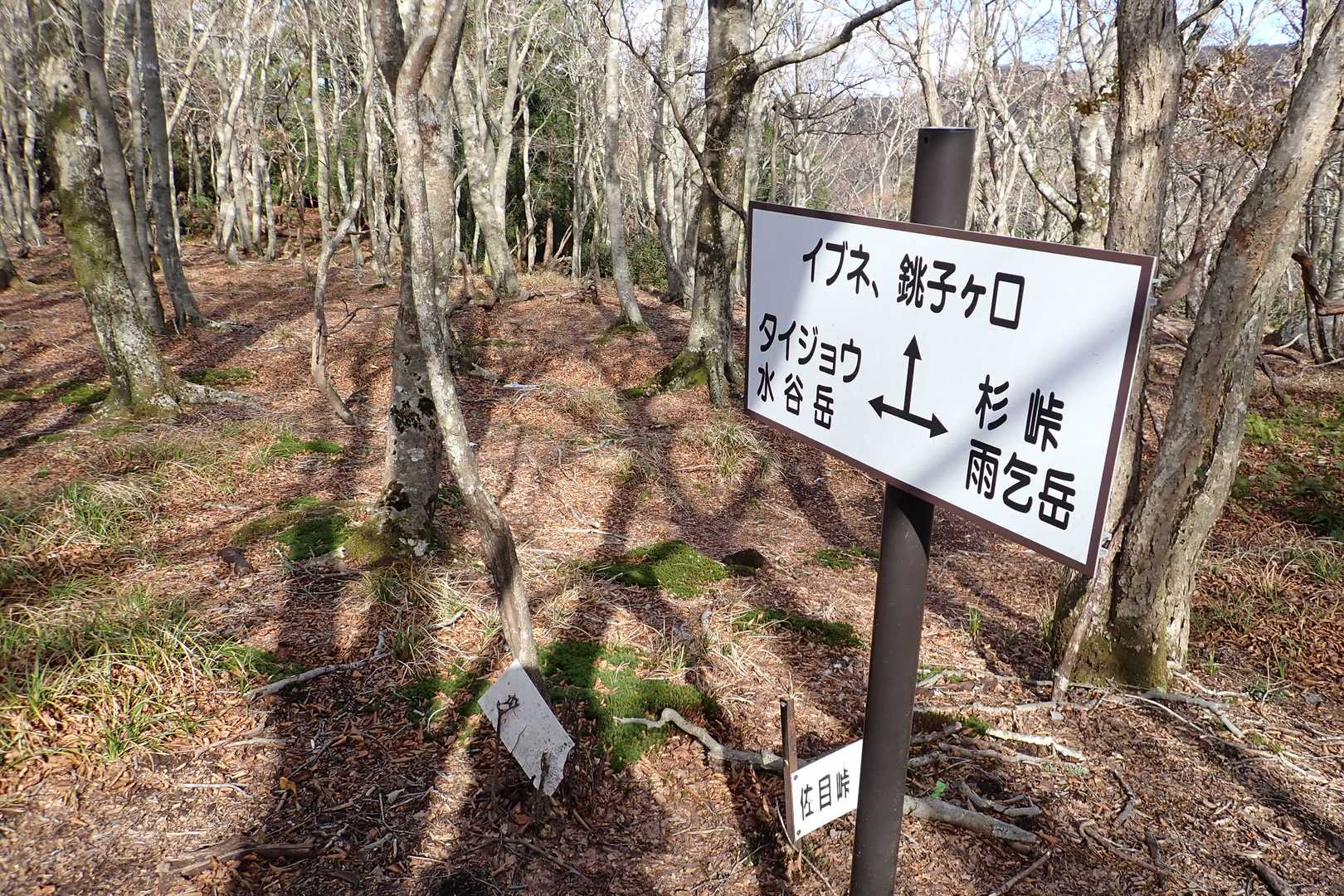 杉峠へ