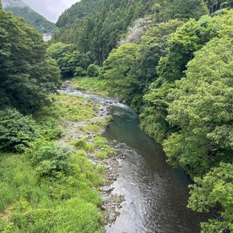 寸庭橋からの渓谷✨