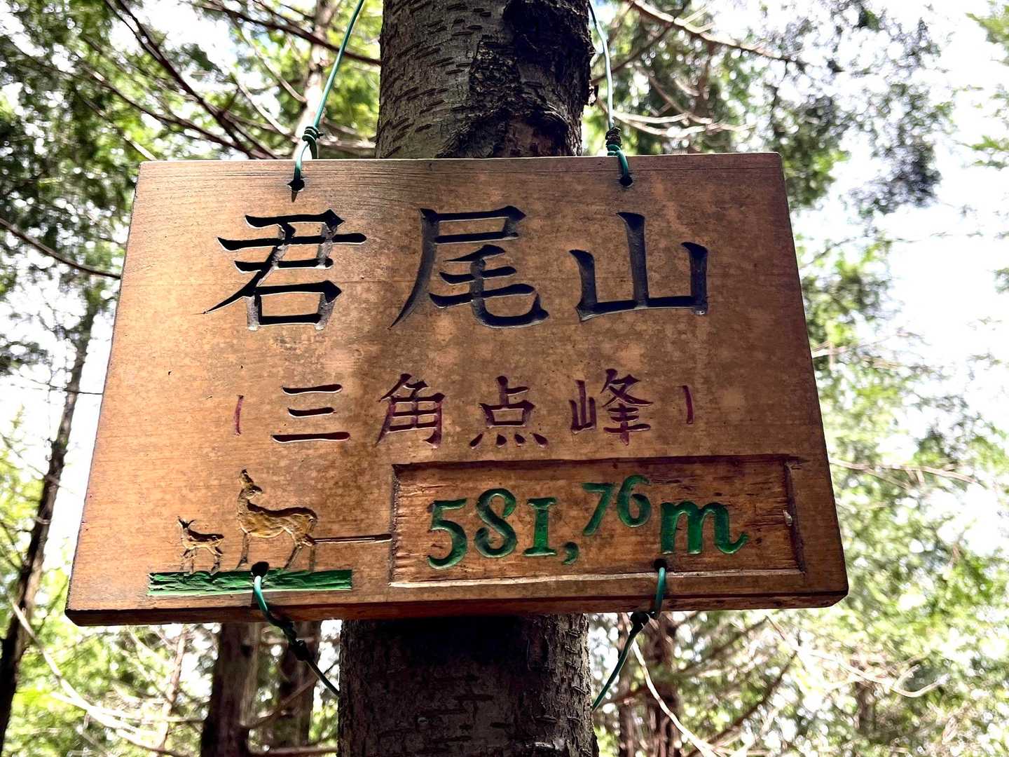 君尾山-大トチ 周回コースの写真