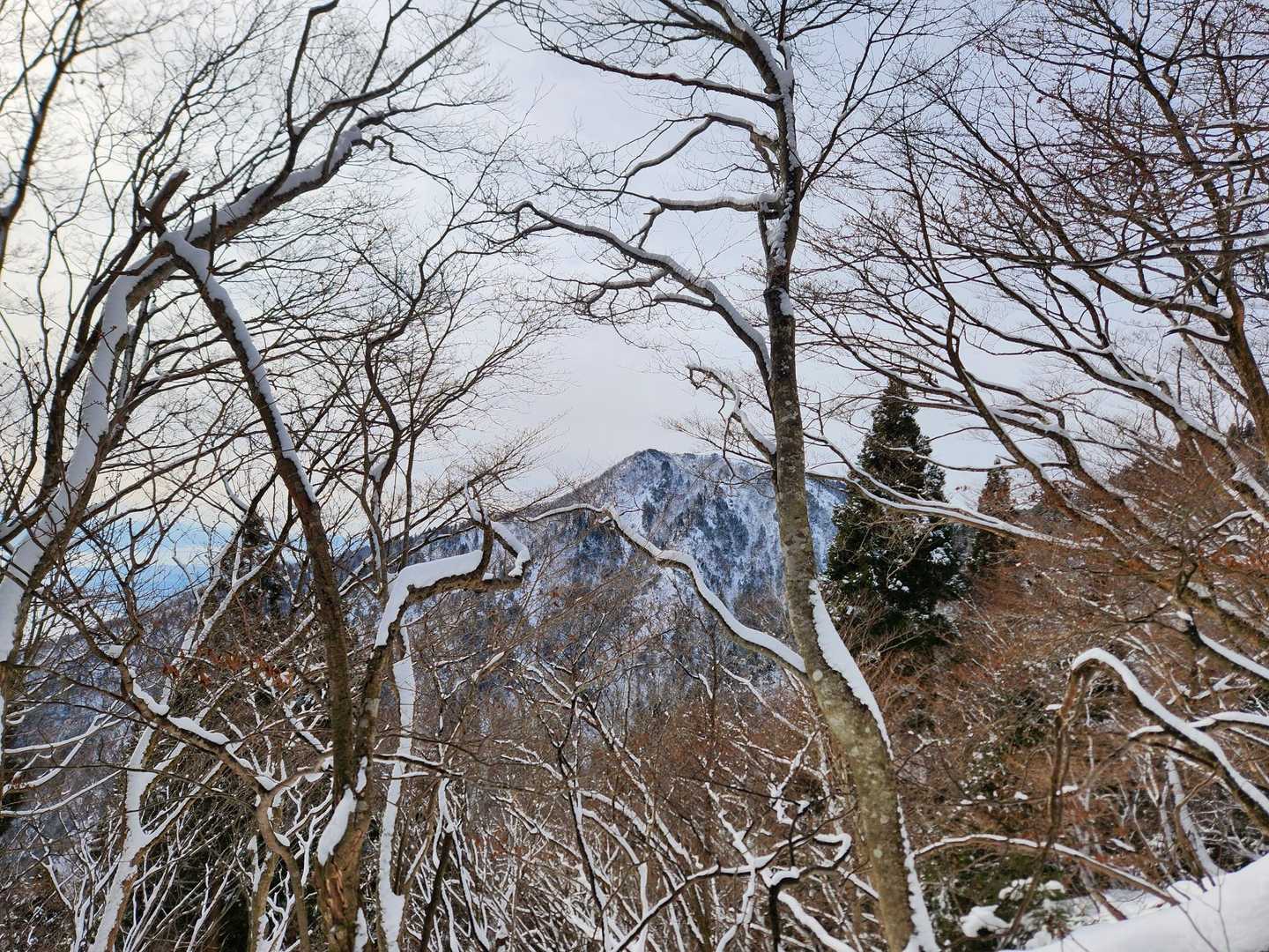 右手には木々の間から堂満岳