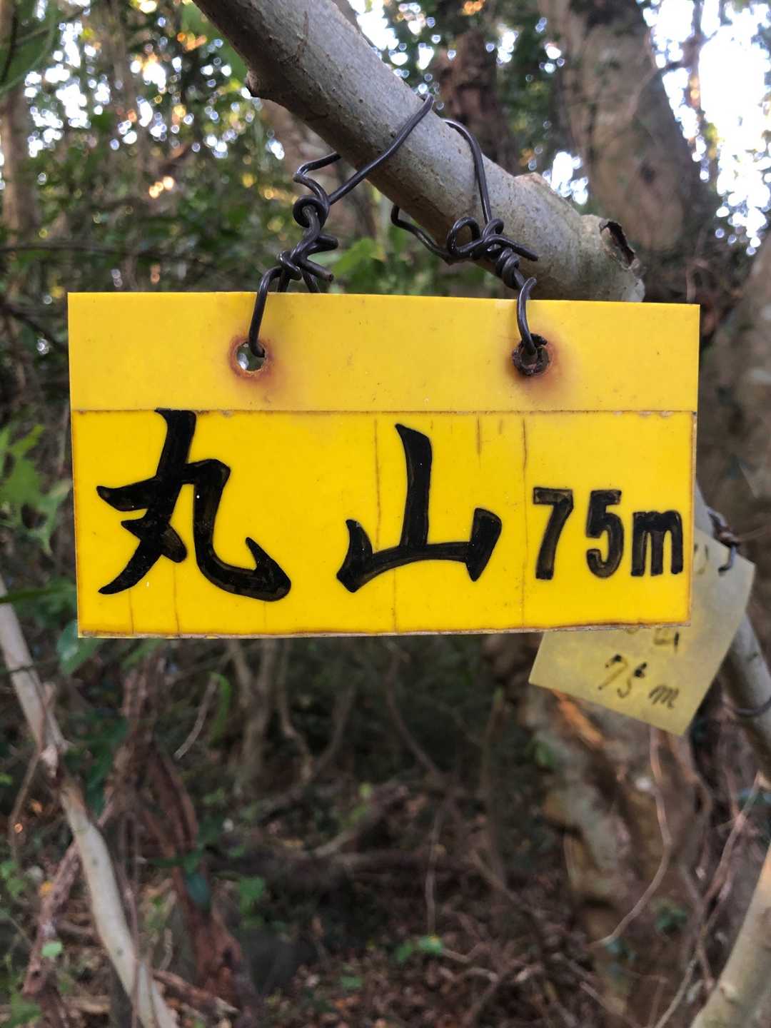 丸山山頂です⛰
眺望はありません😌