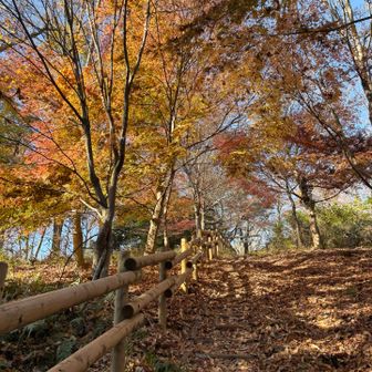 すぐ上が山頂です😊
最後の登りに歓迎されてます🥰