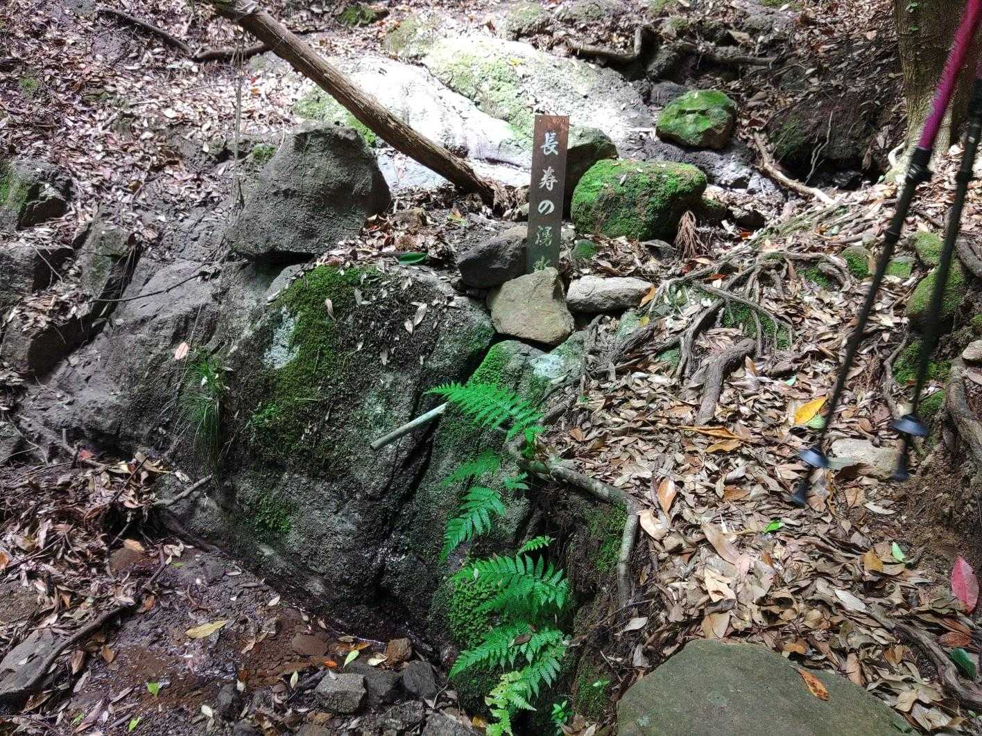 長寿の湧水の出るパイプが有るが、枯れてたー。