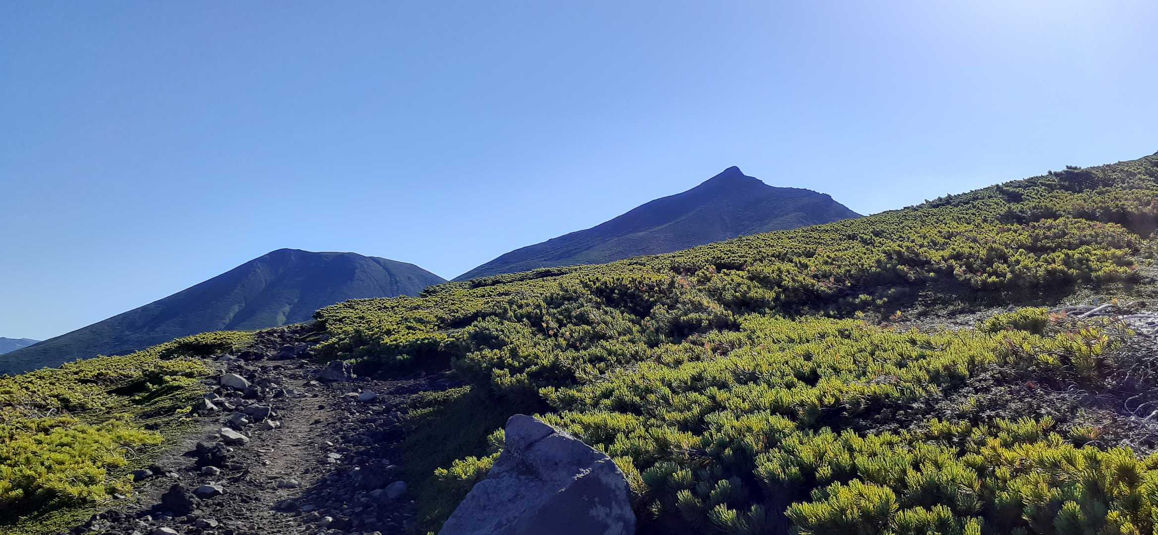 望岳台登山口-美瑛岳 往復コースの写真