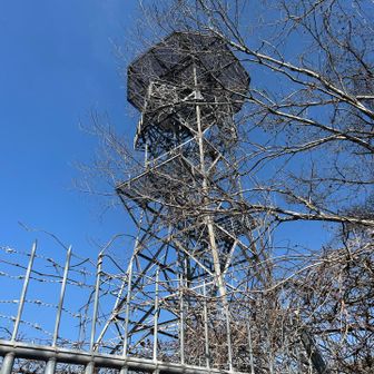 電波塔がドーン。ここが山頂かと思いきや、すぐ横の小高いところが山頂でした。電波塔建設の際に山頂部分が削られたのでしょう。