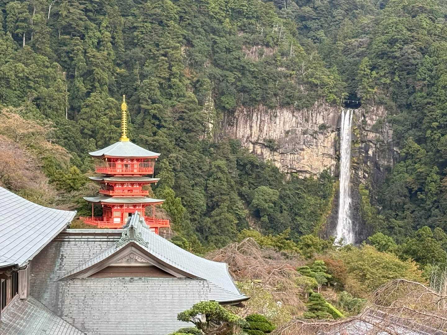 那智の滝を望む