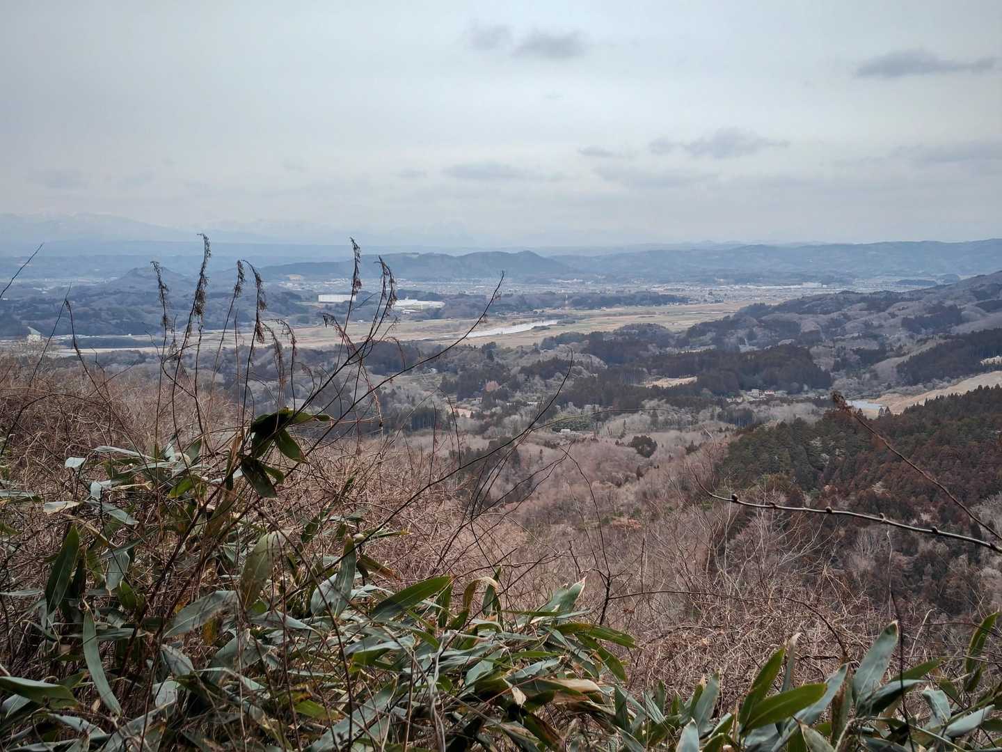 ずっと林の中を歩いていたけど…開けた！