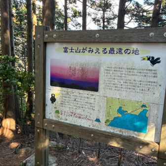 ギリ富士山が見えるところらしい🗻