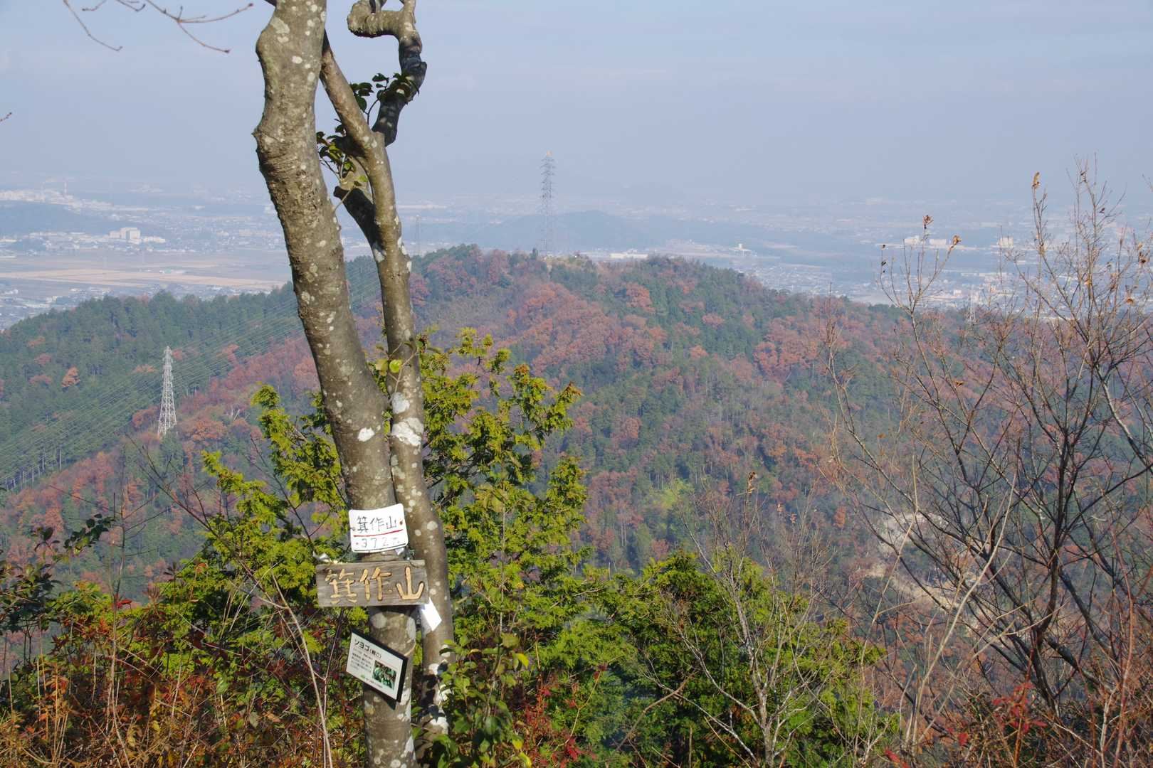 阿賀神社-太郎坊山-みつくり君休憩所-箕作山-小脇山-十三 縦走コースの写真