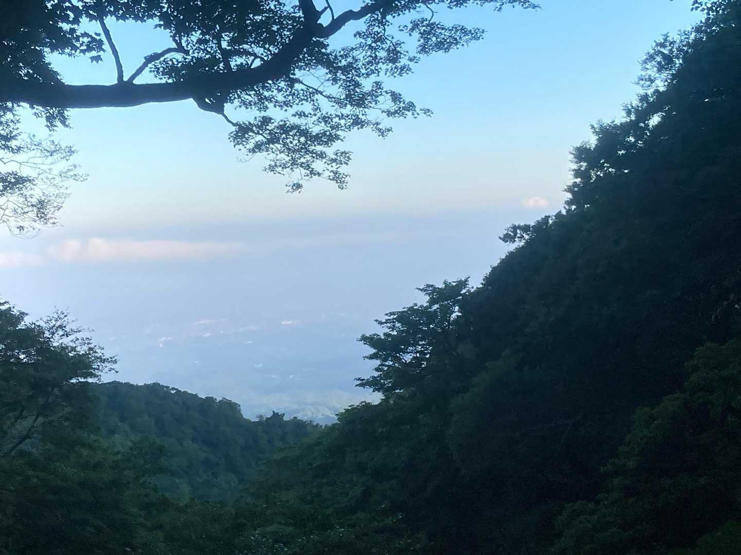 途中ちょっと振り返ってみる
