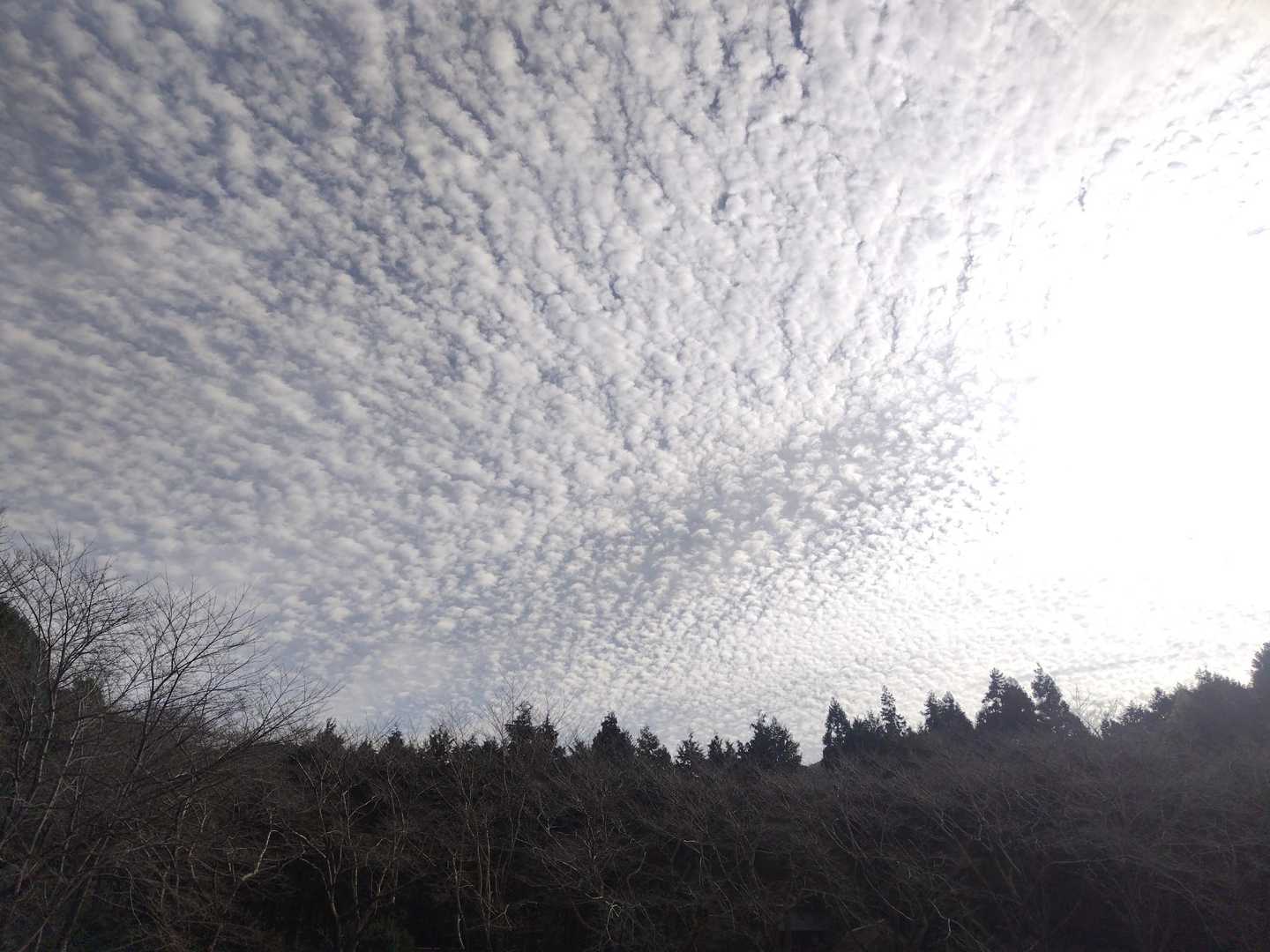遠望峰山 往復コースの写真