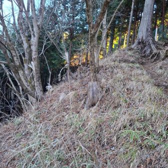 トレースがあるようでなし