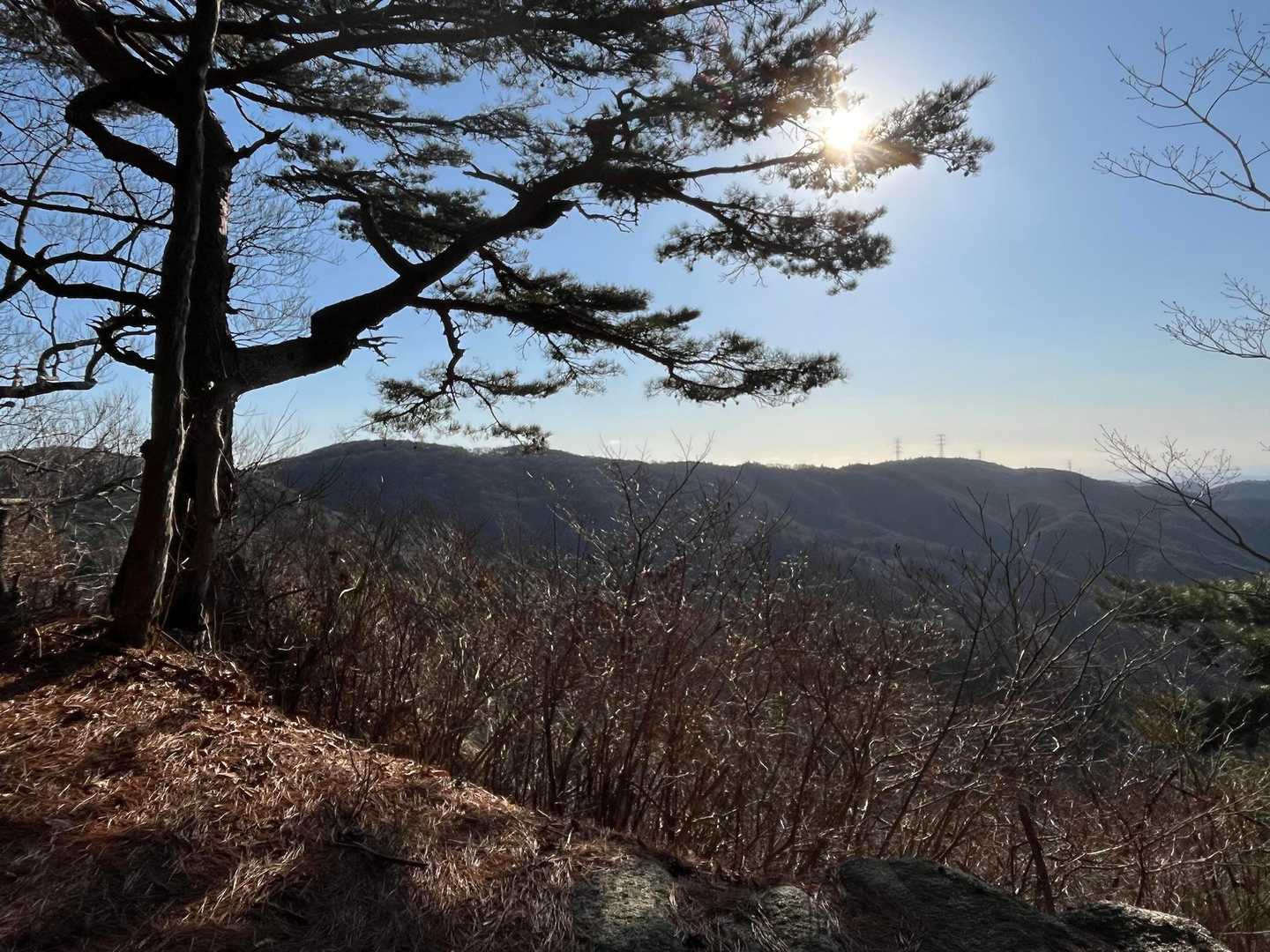 二ッ箭山方向