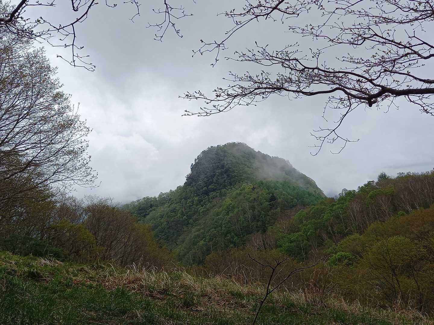 黒富士‼️
