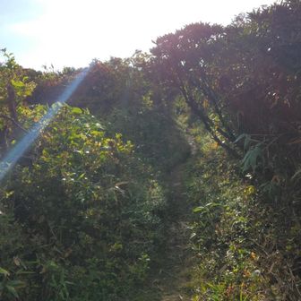 時刻は4時過ぎ。太陽が低くなってきました。無事に明るいうちに下山できました。
