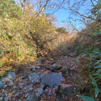 長い沢歩きも🏞️