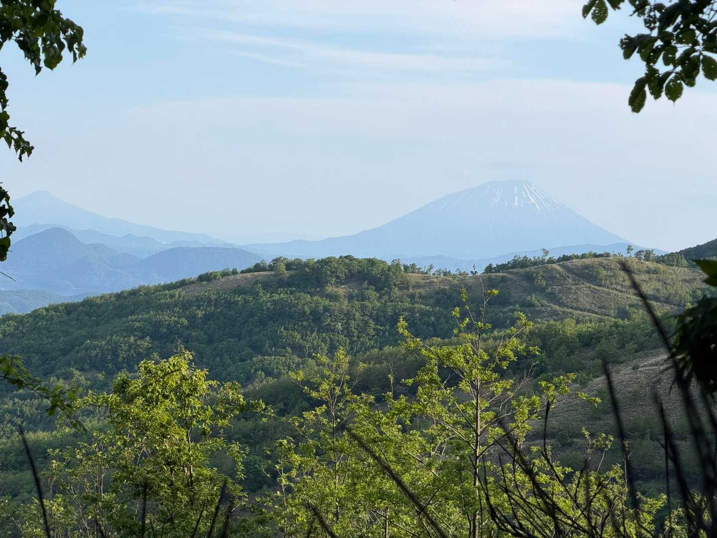 今日初のおは羊蹄🗻