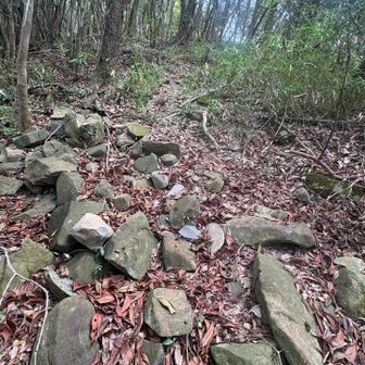 ゴロゴロ石🪨の山道