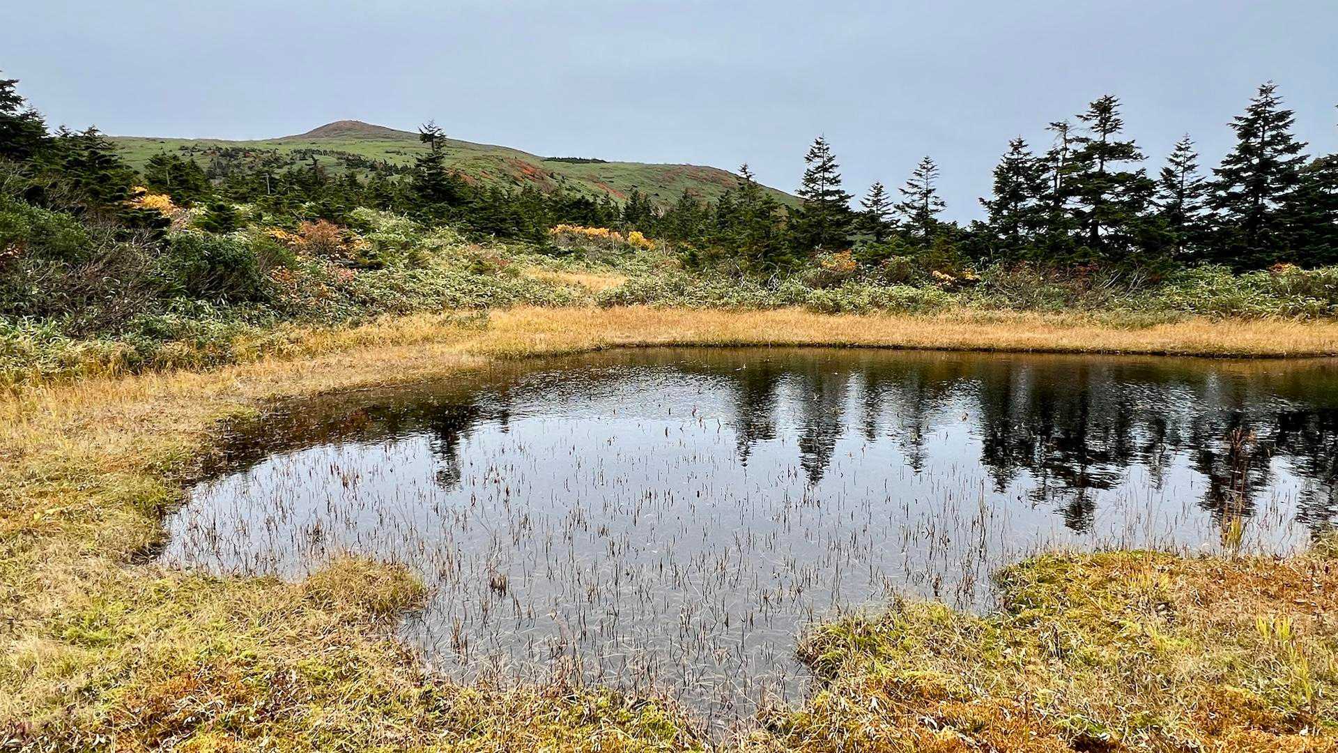 大釜温泉登山口-烏帽子岳 周回コースの写真