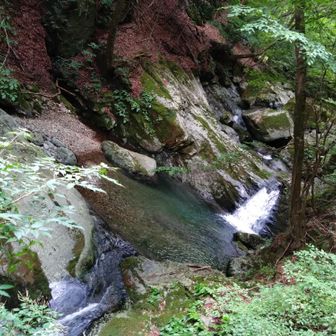 景色遠景だけじゃない
日本庭園の趣