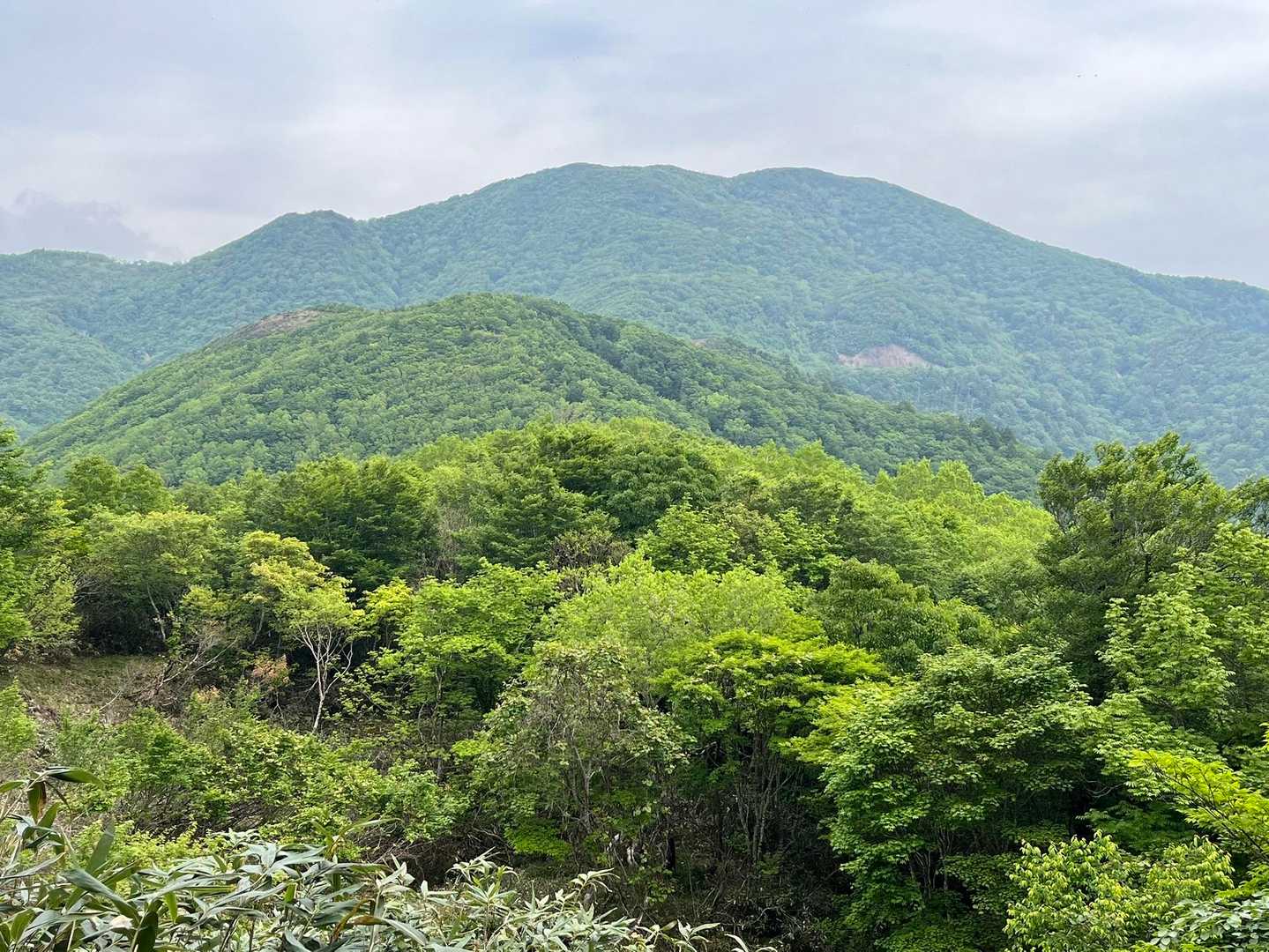 大白森山