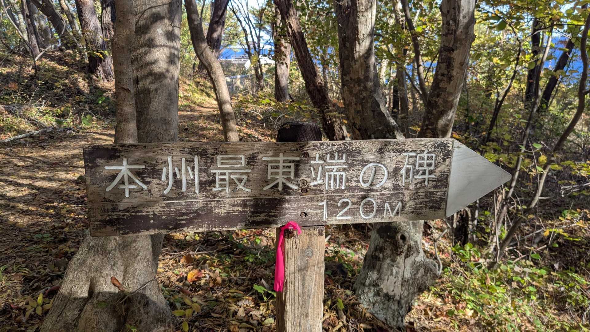 トド山 周回コースの写真