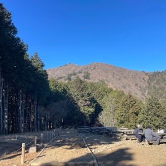 ここで振り返るの好き
今日も綺麗な大山ブルー