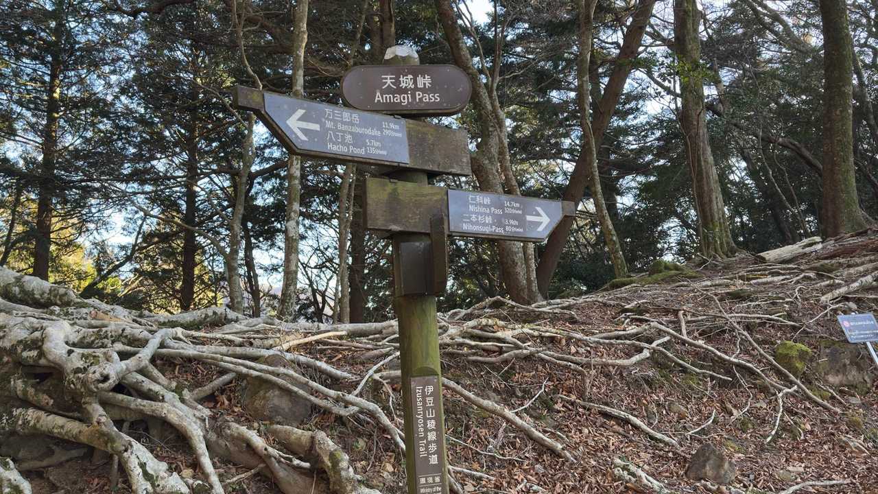 天城山縦走（万二郎岳〜万三郎岳〜小岳〜天城峠） の写真 21