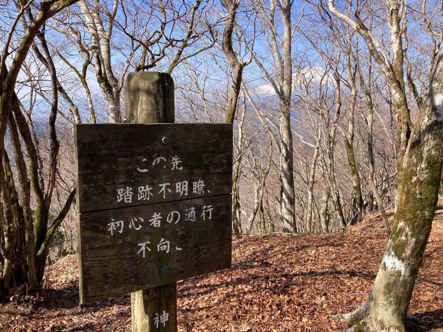 私たちはピストンだから大丈夫って思ってた