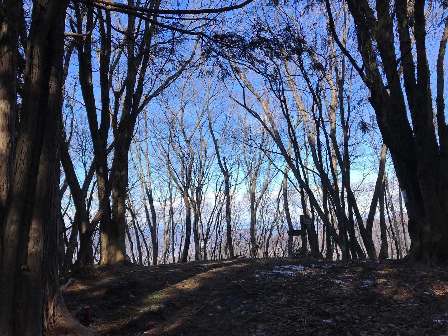 冬は青空