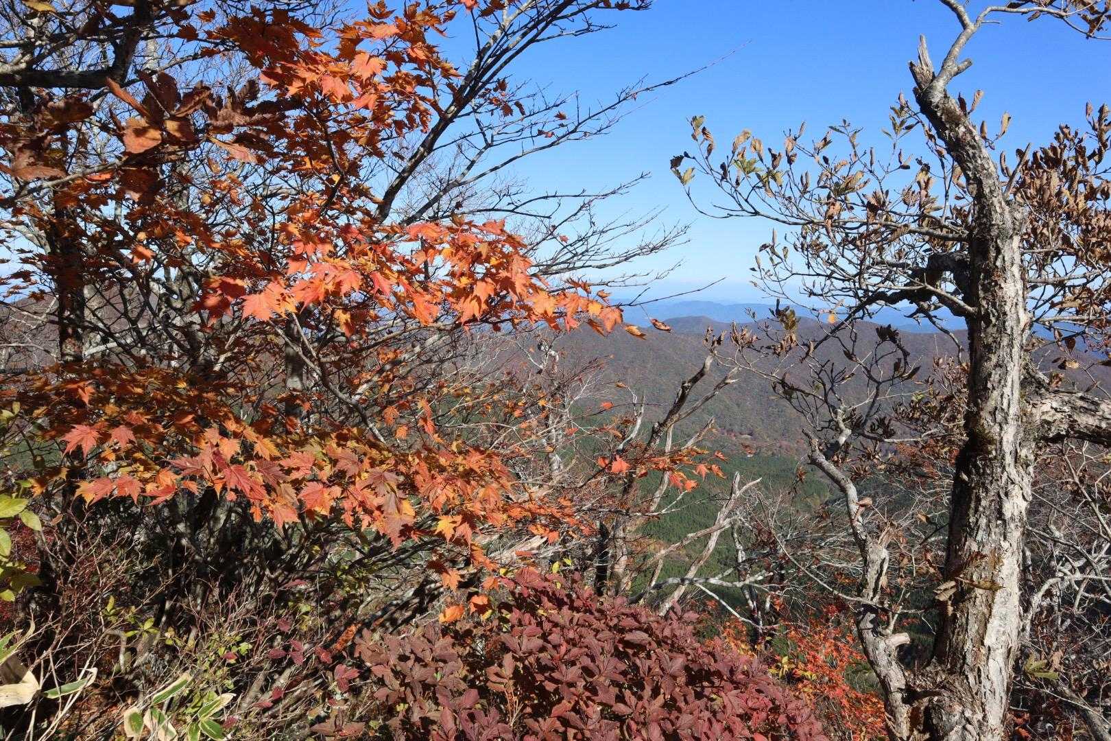 立烏帽子山-池ノ段 往復コースの写真