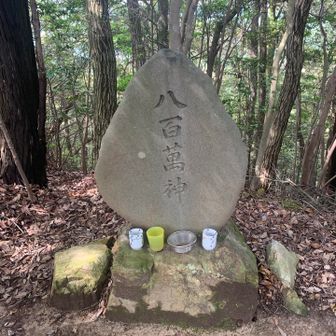 八百萬の神🙏