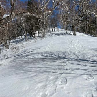 山頂まであと少し