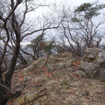 そして山頂に到着