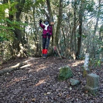 すぐに月ヶ峰（築山）に着く。4等三角点(点名：石城山)