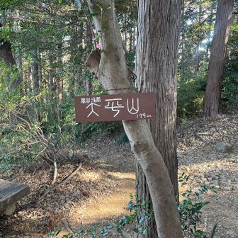 嵐山町最高峰の太平山