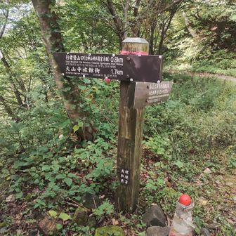登山口迄の分岐