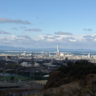 和田山山頂からの眺望 2️⃣

一番高いビルがりんくうタウンにある SiS りんくうタワー🏙️
関西国際空港、連絡橋も見えますよ🛩️